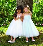 Disney Blossom Cinderella 729